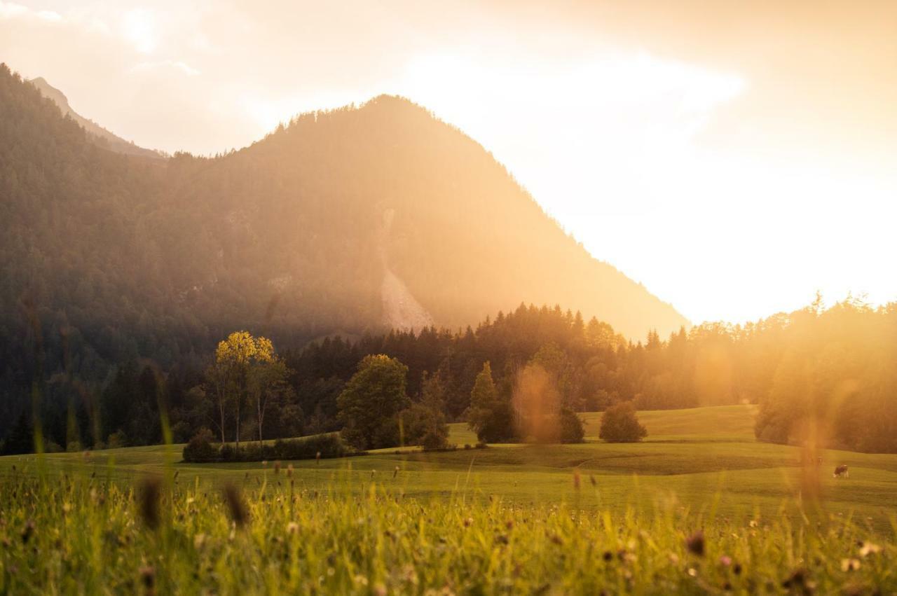 Zeitfrei Chalet Apartments ฟีบาบรุนน์ ภายนอก รูปภาพ